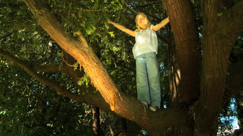 Pretty young girl playing up in a tree