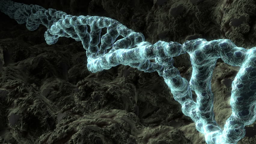 Three dimensional animation of a DNA strand revolving.