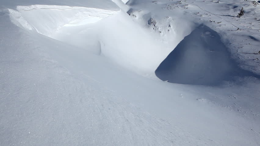 back view of skier in powder snow