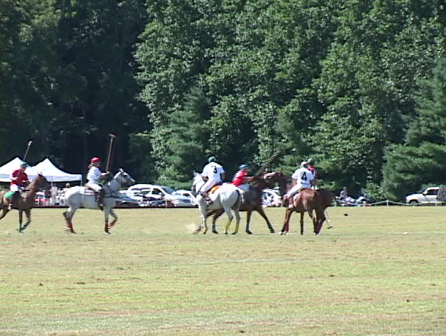 polo players in action