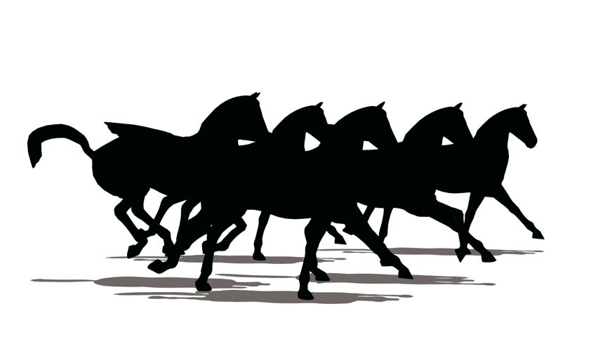 Run of small herd of horses, black silhouette on white background 
