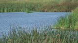 Wildlife preserve in Carlsbad, California