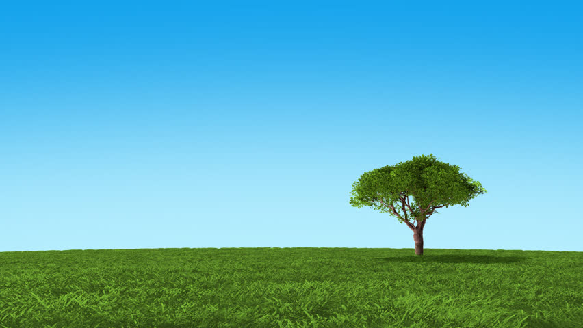 Growing up tree animated backdrop