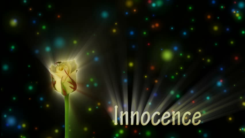 White rose "Escimo" color meaning "Innocence" 1a alpha matte 