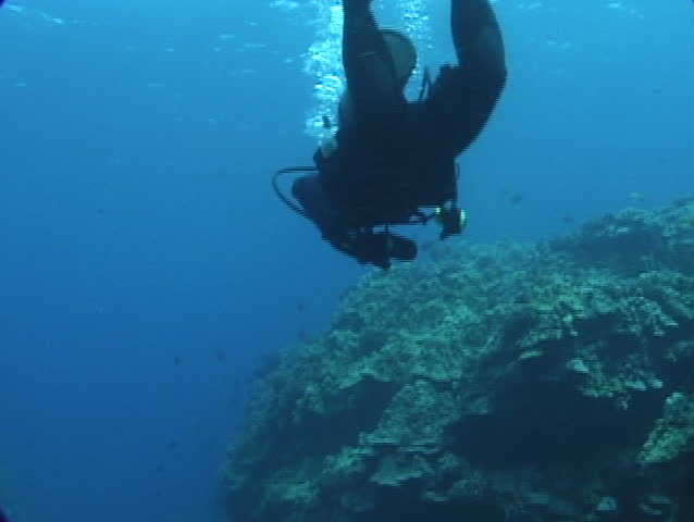 SCUBA Diver Dropping onto a Hawaiian Coral Reef