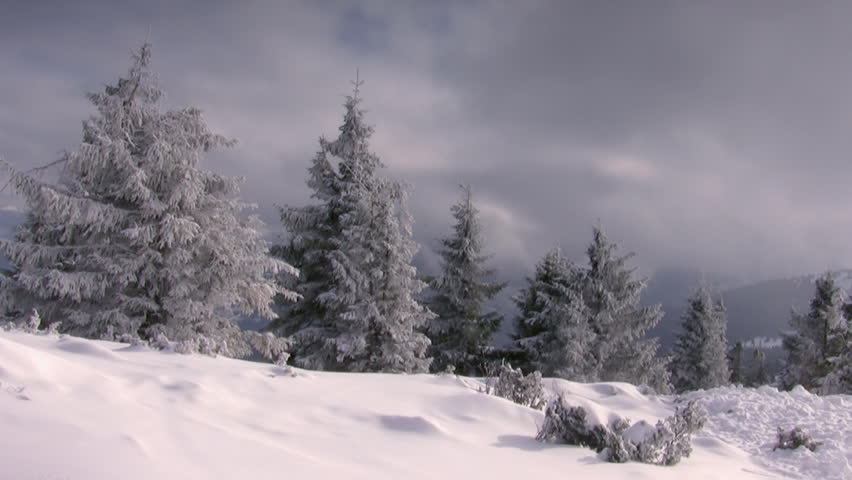 Winter fir trees in the mountains, cloudscape timelapse,  HD