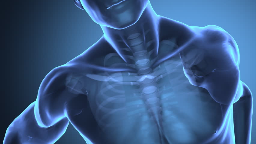 Focused on human arm bone
