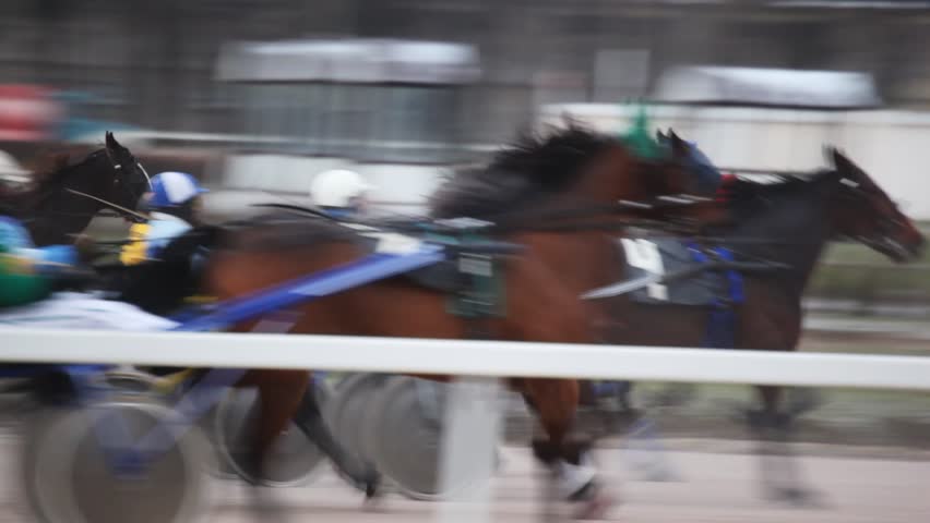 jockeys in carts harnessed of horses, quickly move on hippodrome path 