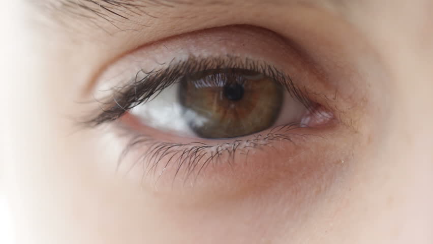 Eye of the person