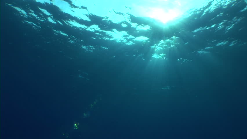 Sunbeams shining through water, underwater view 