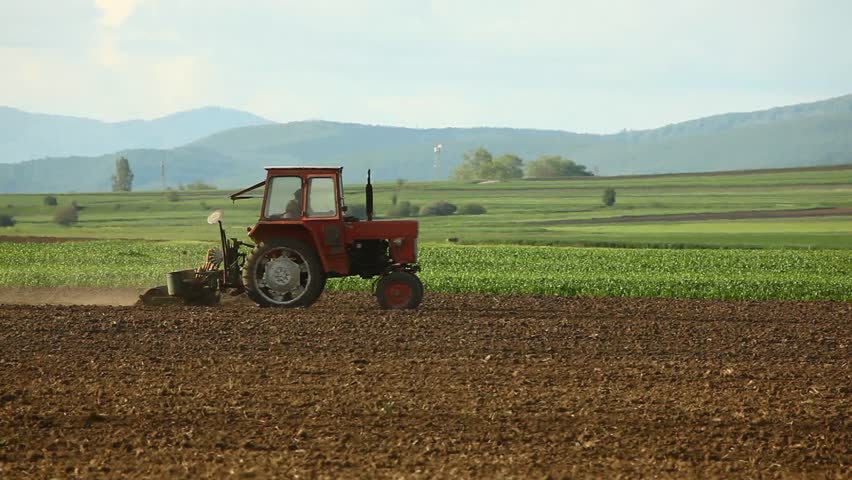 Corn sowing tractor following on the field