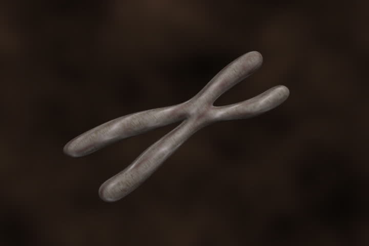 Rotating chromosome