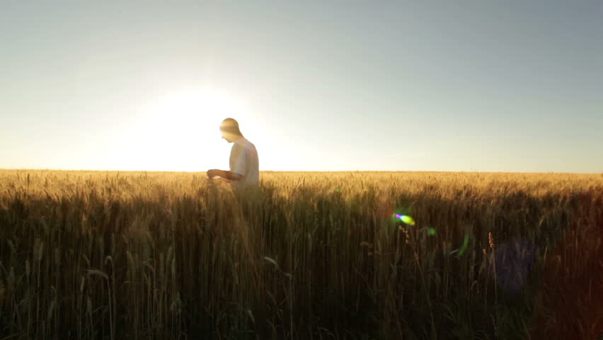 farmer in huge wheat field at sunshine 
