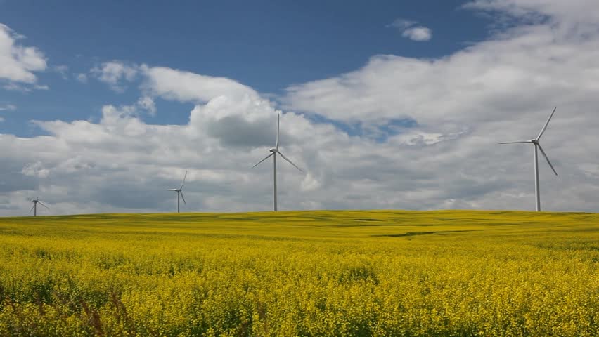 wind turbine