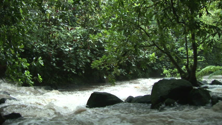 Rapids