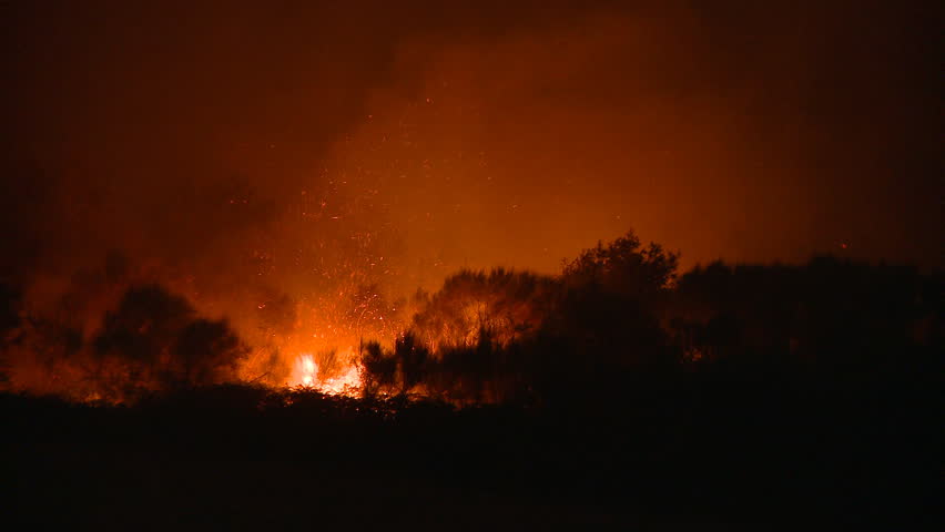 Forest fire at night