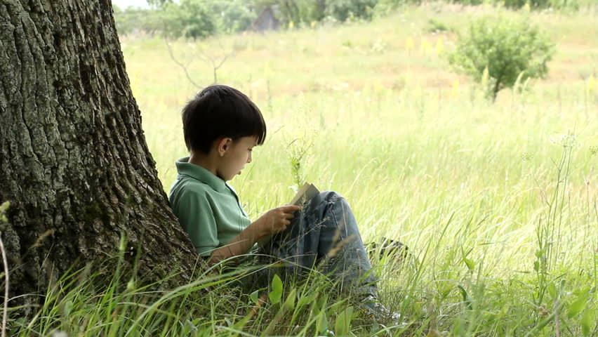 boy reads book outdoors.