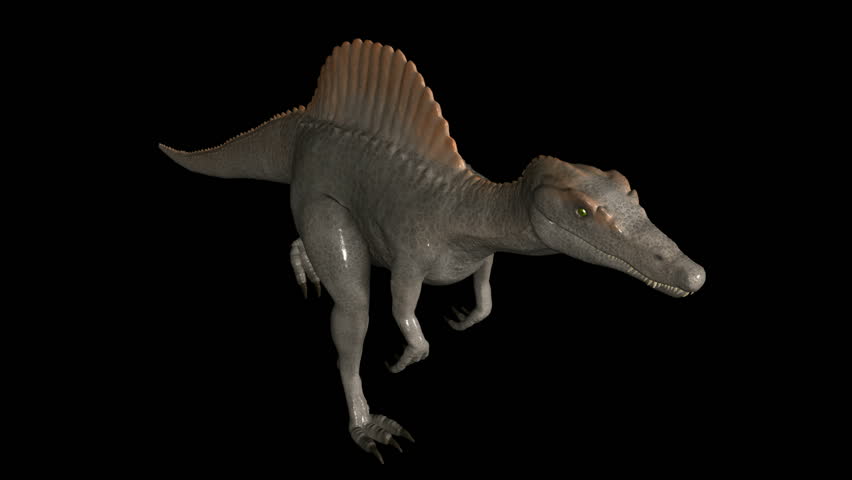 Looping Dinosaur Spinosaurus Run Animation. Isolated on black. Alpha Matte
