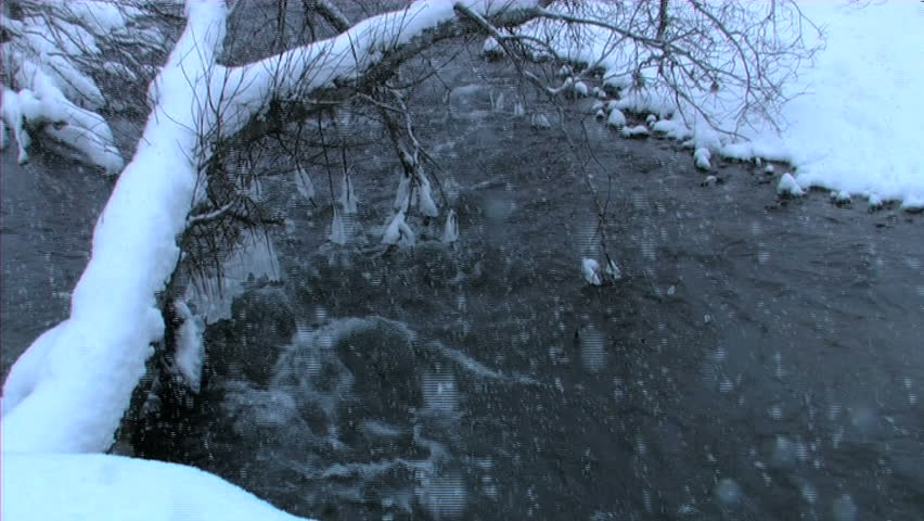  first snow, wood,  river