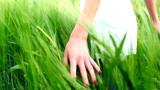 Beautiful  young woman on cereal field in summer - Outdoors 