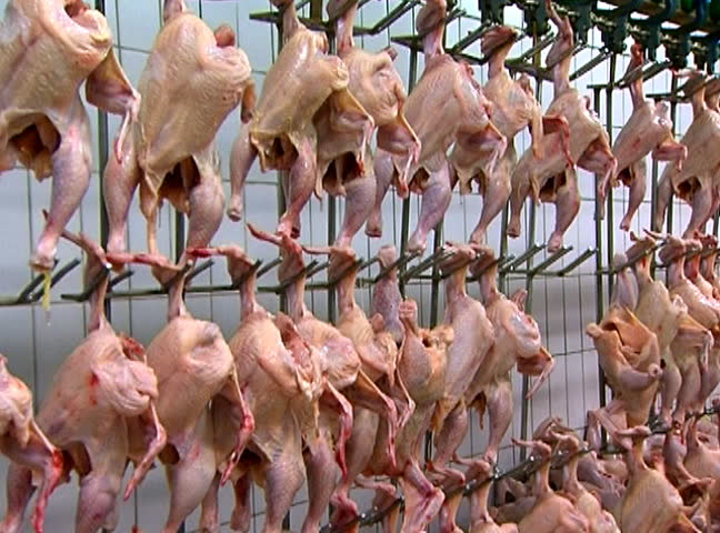 Raw skinned chickens hanging from hooks.