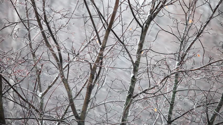 Snow and wind