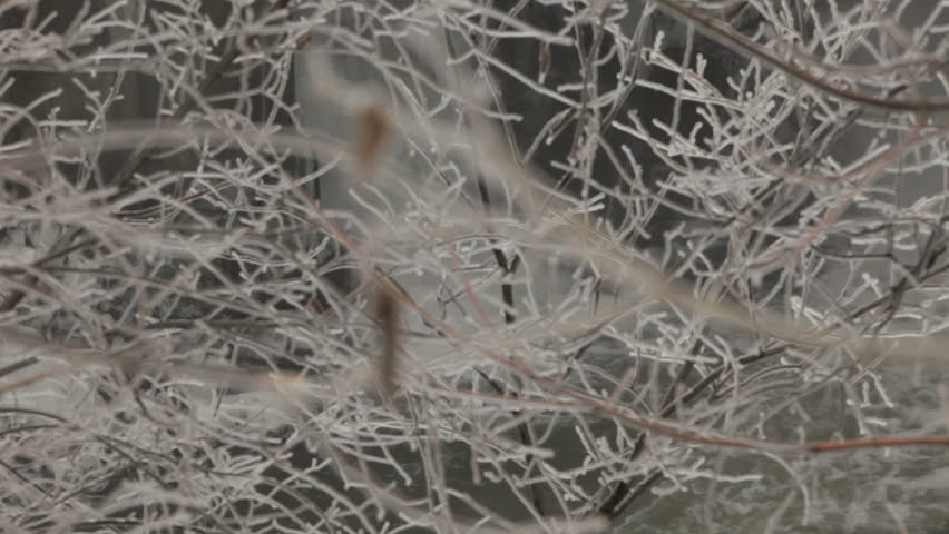 The beauty of winter is on display in this rack focus shot from a small waterfall to ice frozen on tree branches in the mid and near foreground. 