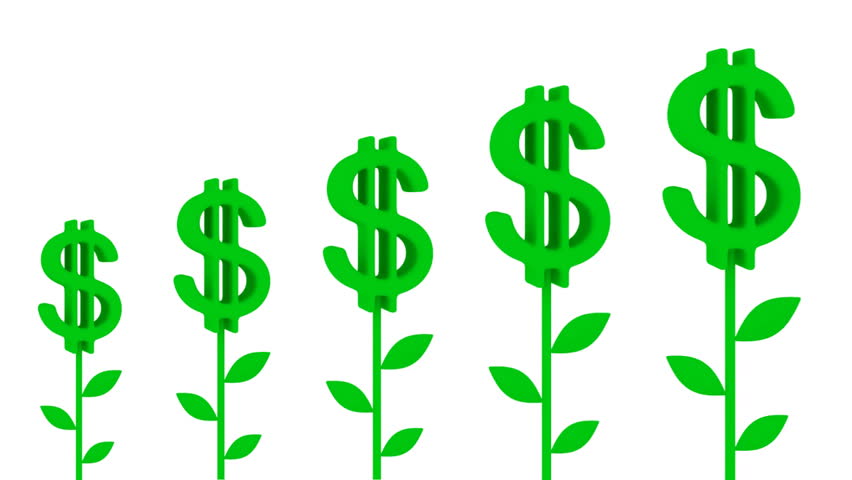 Dollar plants. Earnings growth concept.Isolated on white.