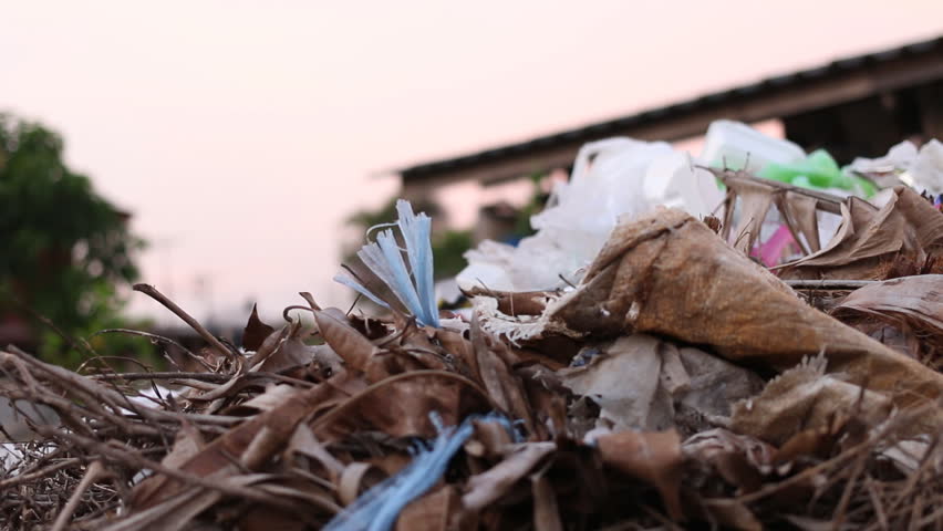 Header of midden