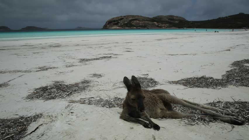 Bay and landscape at Cape Le Grand National Park, Western Australia ...