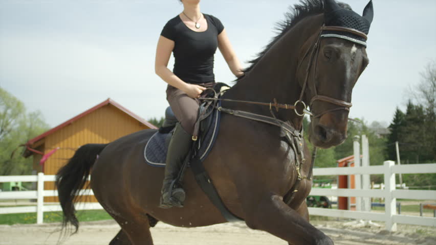 Slow Motion Close Up Young Woman Horseback Riding In Manege Stock Footage Video -9484