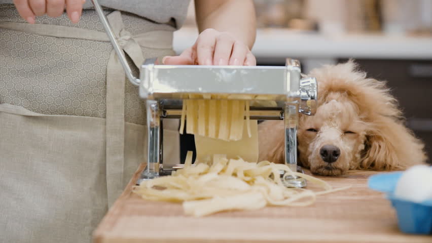 Feed the dog. Можно ли собак кормить макаронами. Пес ест макароны. Макароны для собак. Можно ли кормить собаку макаронами.