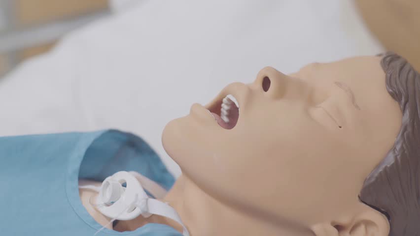 Header of dummy
