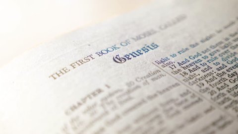 Image result for bible royalty free