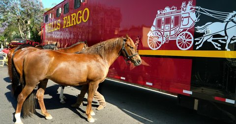 Los Angeles California Usa June 10 2018 Wells Fargo Horses Los Angeles California Usa June 10 2018 Wells Fargo Horses