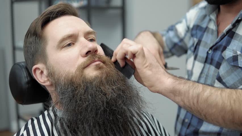 Barber Doing Beard S Haircut With Adult Men With A Long Beard In The
