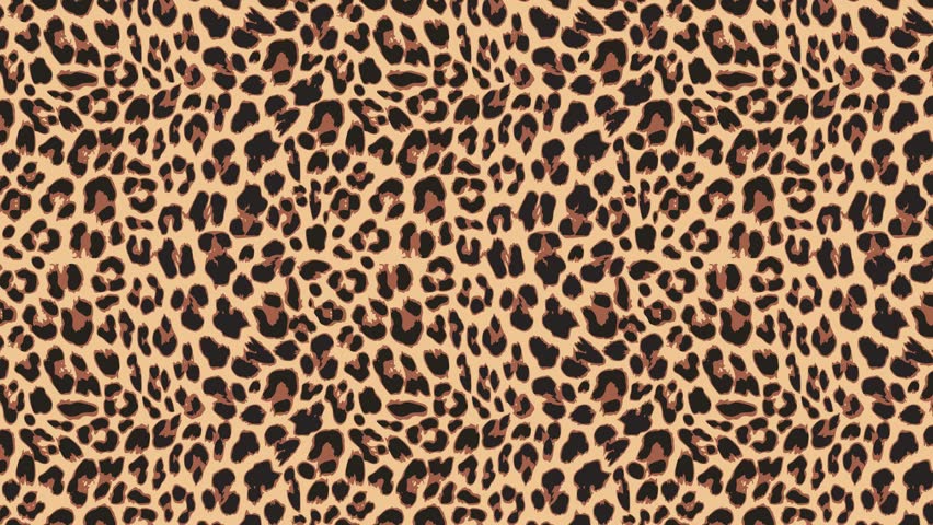 Leopard Skin Background Pattern image - Free stock photo - Public ...