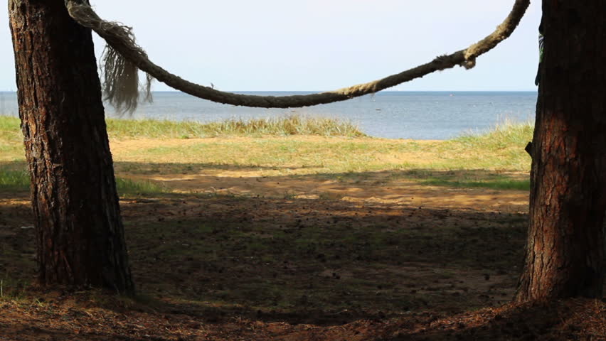 Rope Swing Hang Between Two Stock Footage Video 100 Royalty Free 1019694019 Shutterstock