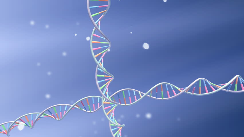 Dna Strand 1020109 Shutterstock   1 