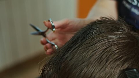 Modern Hair Stylist Man Doing Video De Stock Totalmente Libre De