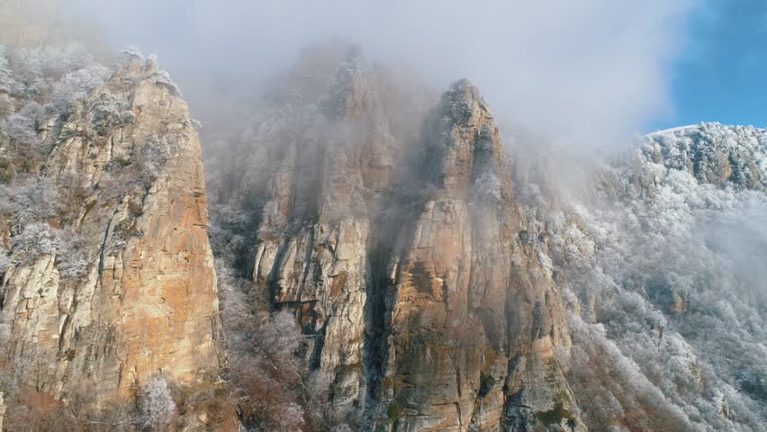 Trees and Forest with Rocks and Mountains with Clouds and Sky in ...