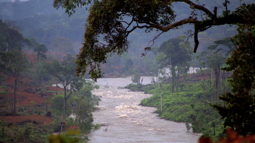 Floods After Tropical Rain In The Jungles Of Africa. Equatorial Guinea