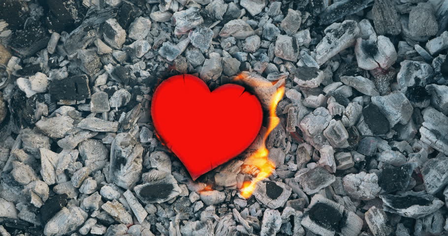 Сердечко пепел. Сгоревшее сердце. Сердце из пепла. Перевернула ты жизнь мою сердце из пепла. Птица феникс возрождается из пепла.
