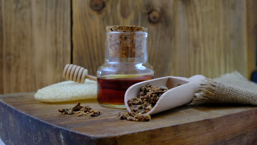 Propolis Hd - british propolis sidoarjo