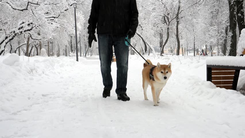 A Man Walks With A Stock Footage Video 100 Royalty Free 1025284649 Shutterstock