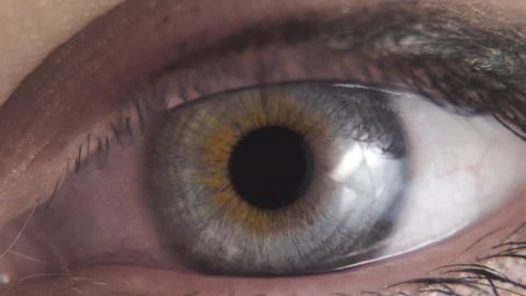 Eye Super Close Up Macro Stock Footage Video 100 Royalty Free