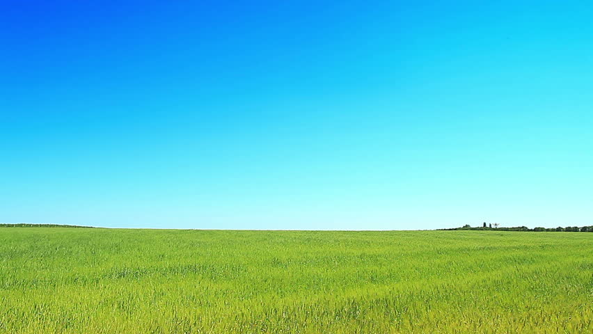 Beautiful Green Grass Clear Blue Sky Summer Landscape High Definition