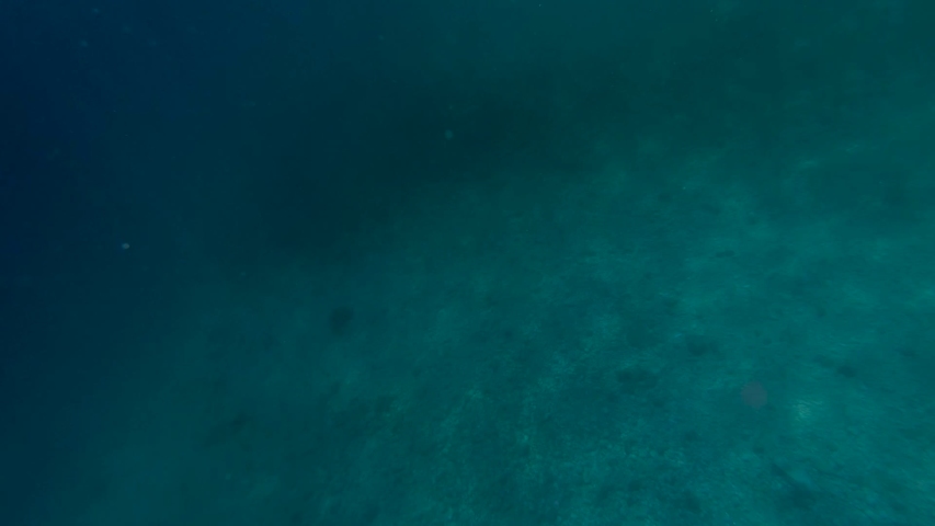 human-with-camera-underwater image - Free stock photo - Public Domain ...