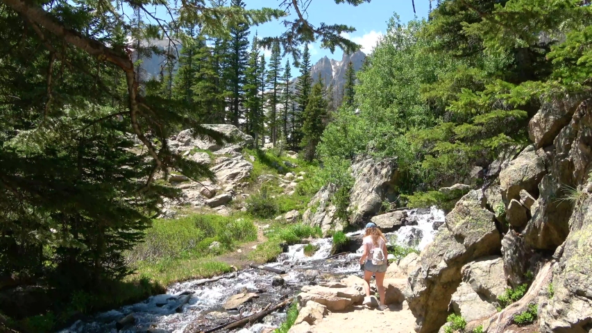 Timberline Falls waterfall