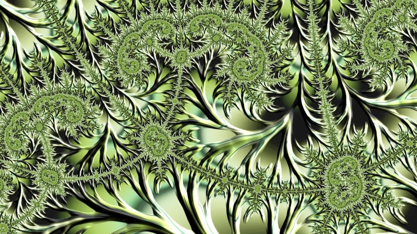 looping video fractal